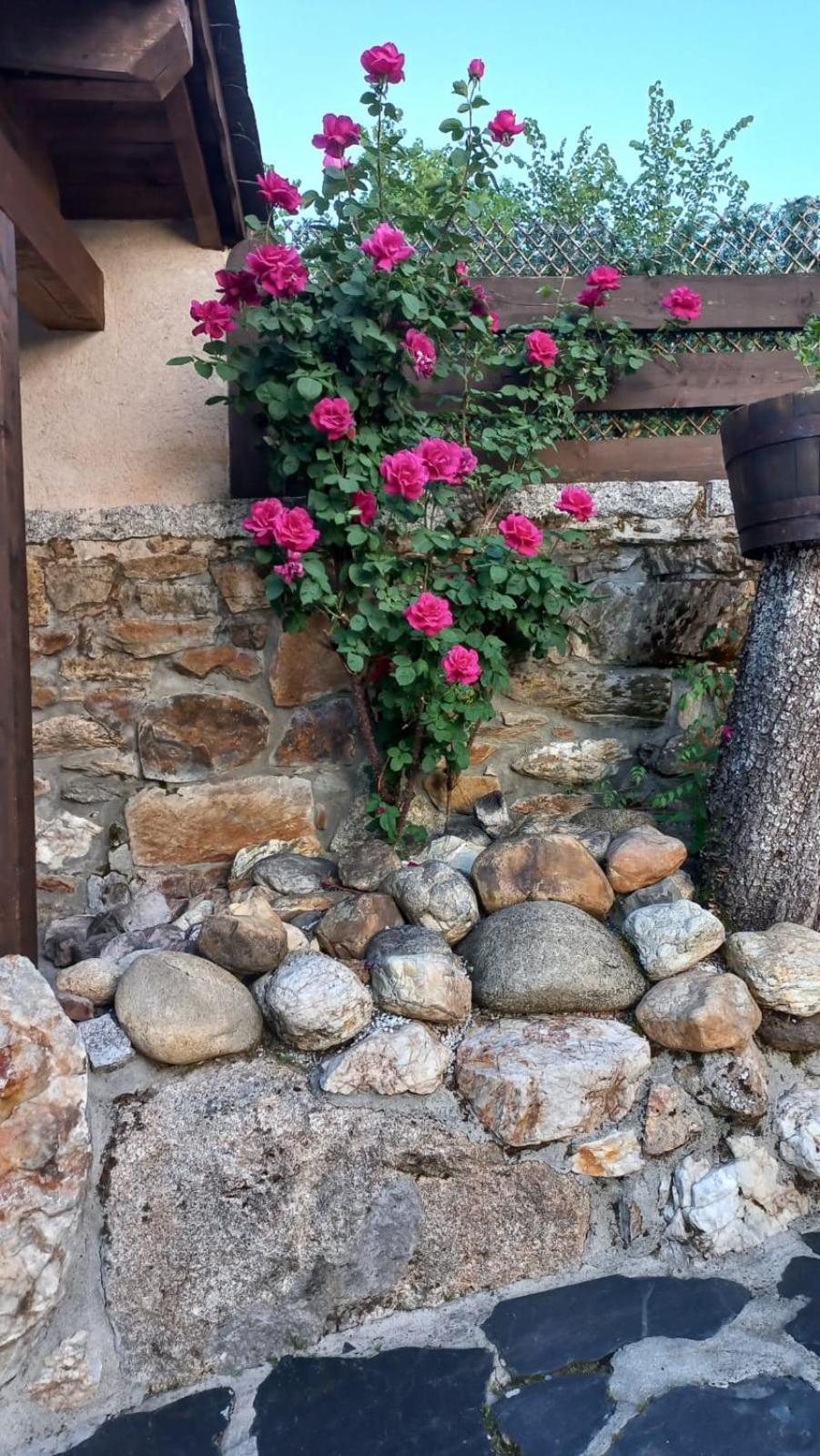 منزل الضيف Rozas  في Casa Del Cura المظهر الخارجي الصورة
